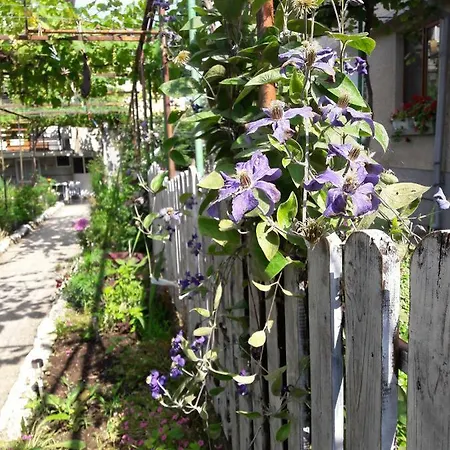Стаи В Китен Guest house